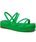 17.png.webp