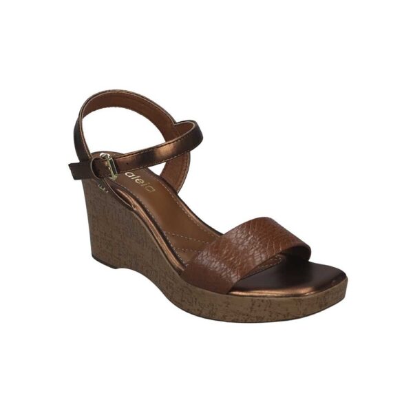 CORA-505_CAMEL_1